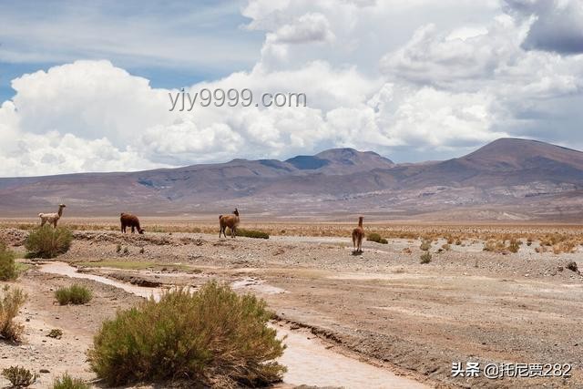 茫崖启程东归之旅：尕斯库勒湖畔的悠闲时光